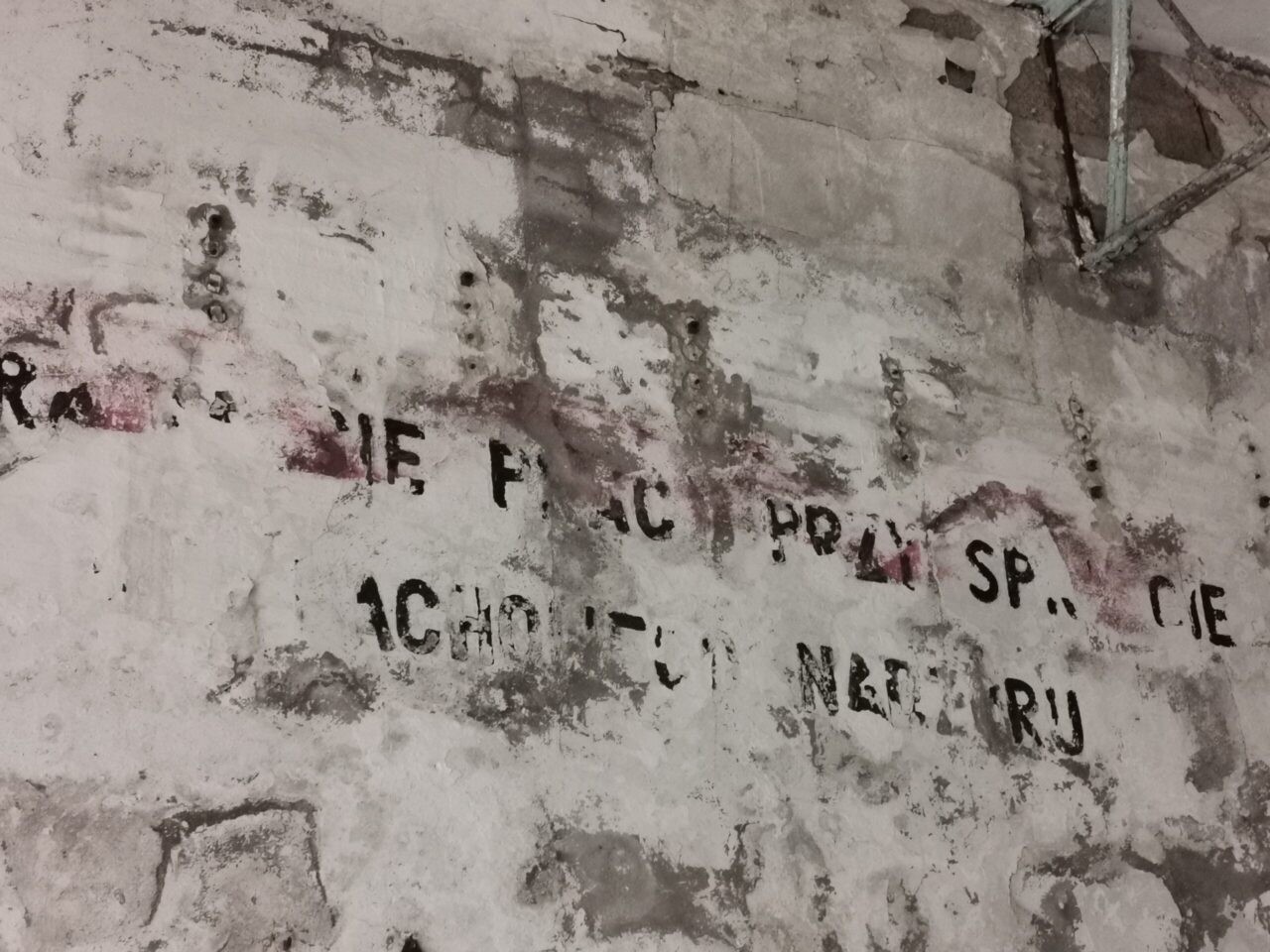 Pozostalosci dawnej jednostki wojskowej, Łazy, Łazy, zachodniopomorskie — zdjęcie 9