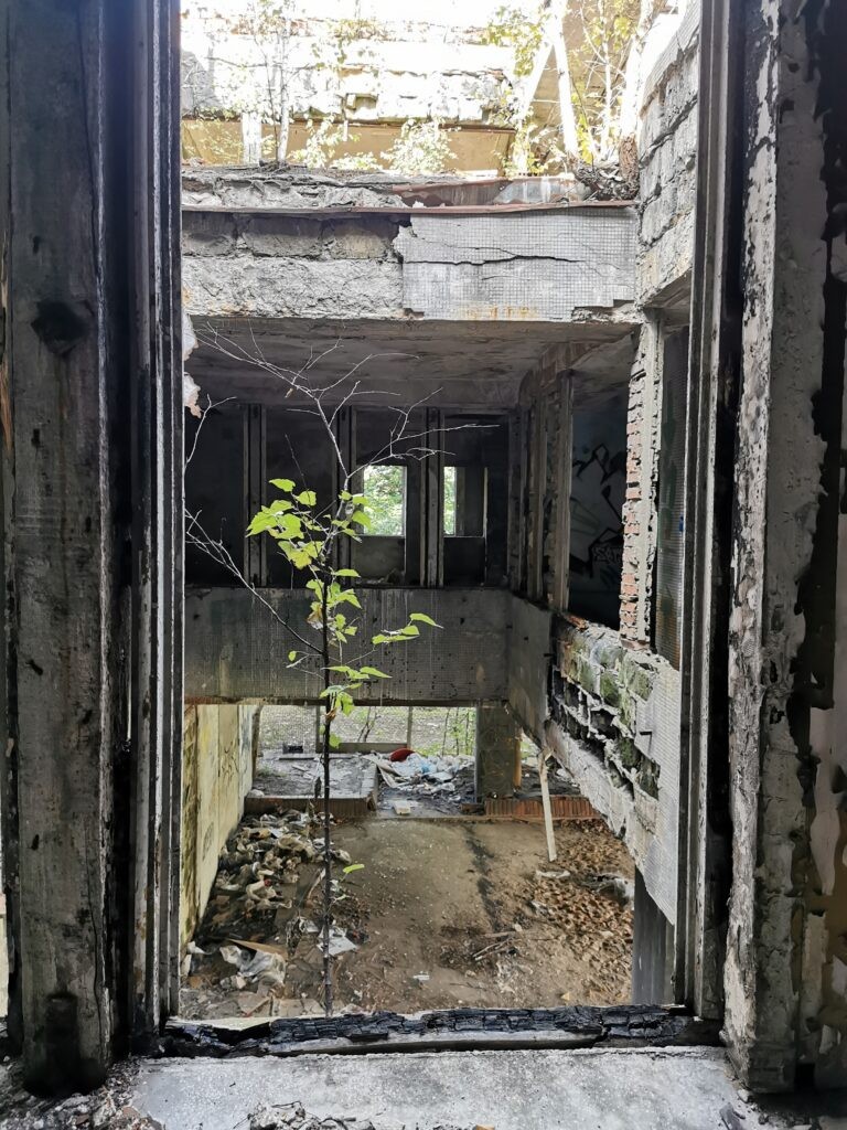 Brutal, Katowice, województwo śląskie - relacja z 09.2020, zdjęcie 7