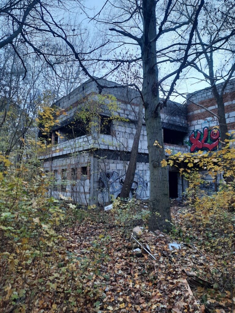 Sala gimnastyczna, Poznań, województwo wielkopolskie - relacja z 11.2020, zdjęcie 5