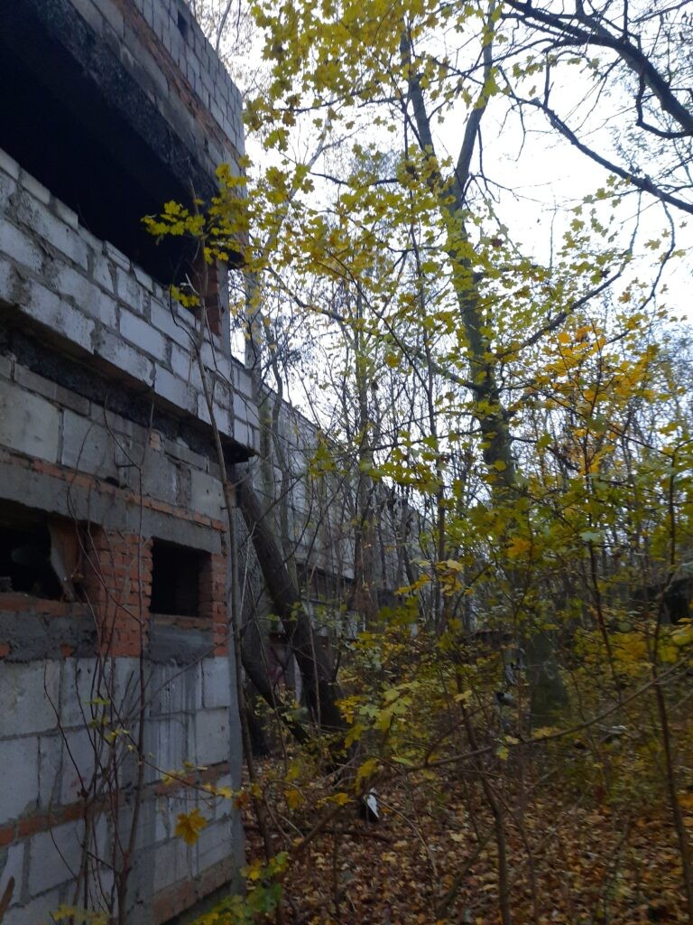 Sala gimnastyczna, Poznań, województwo wielkopolskie - relacja z 11.2020, zdjęcie 2
