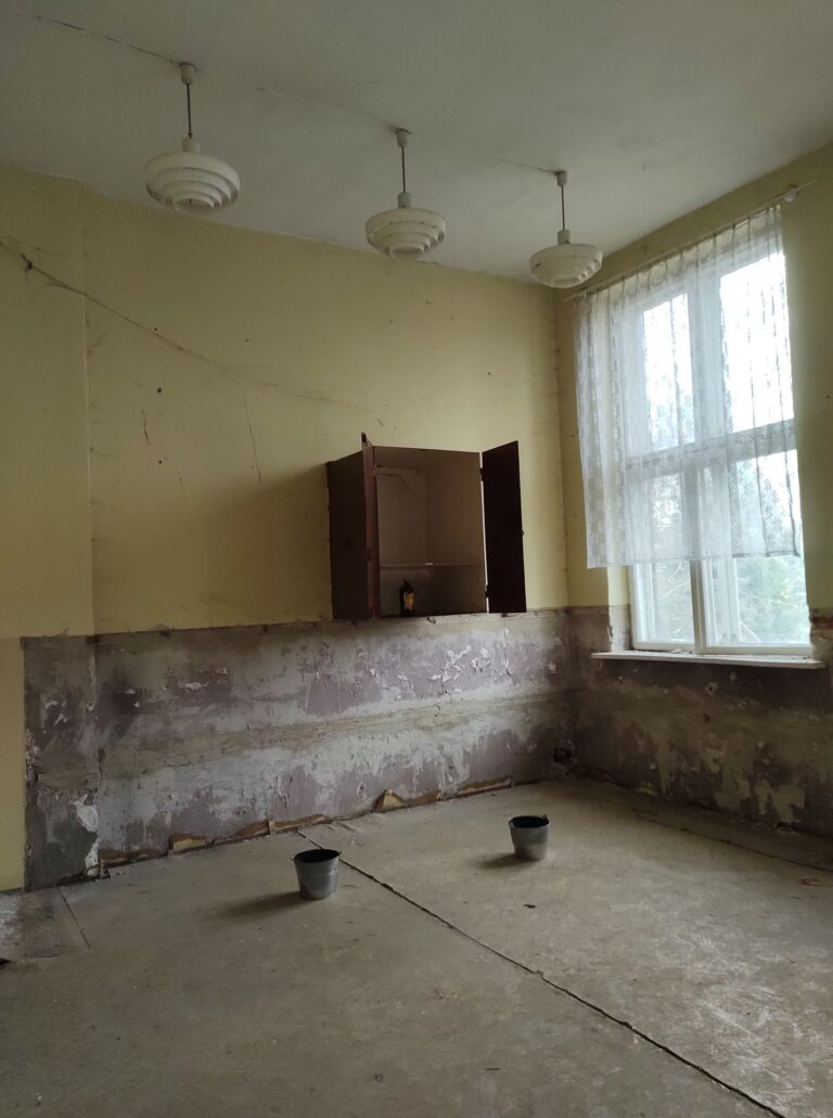 Szkoła Podstawowa w Borowej, Borowa, województwo łódzkie - zdjęcie z relacji 15