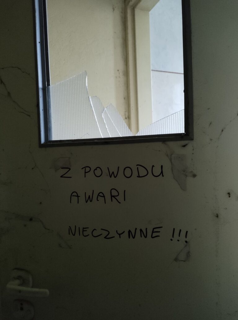 Szkoła Podstawowa w Borowej, Borowa, województwo łódzkie - zdjęcie z relacji 14