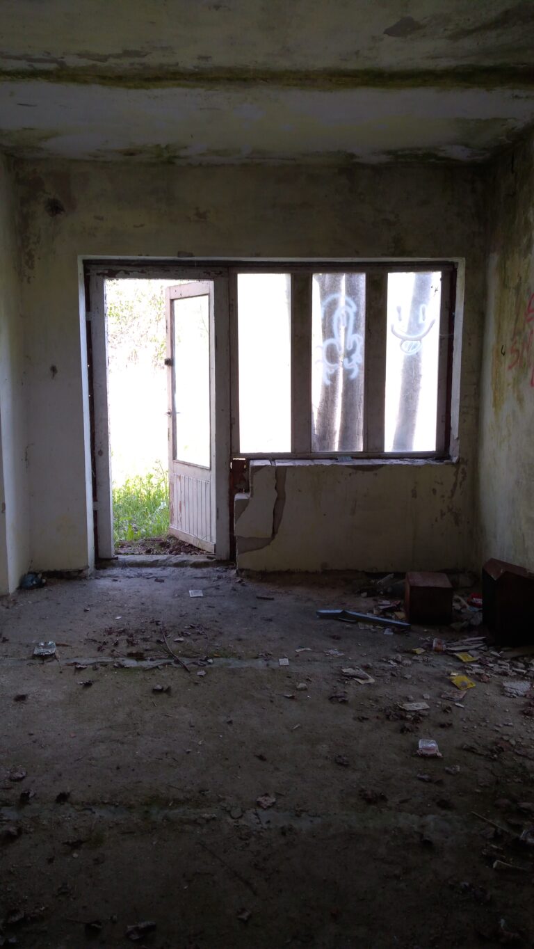OPUSZCZONY DOM Z GARAŻAMI, Broszków, województwo mazowieckie - zdjęcie 1