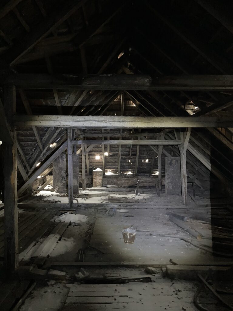 Kino Uciecha, Czeladź, województwo śląskie - relacja z 01.2021, zdjęcie 30
