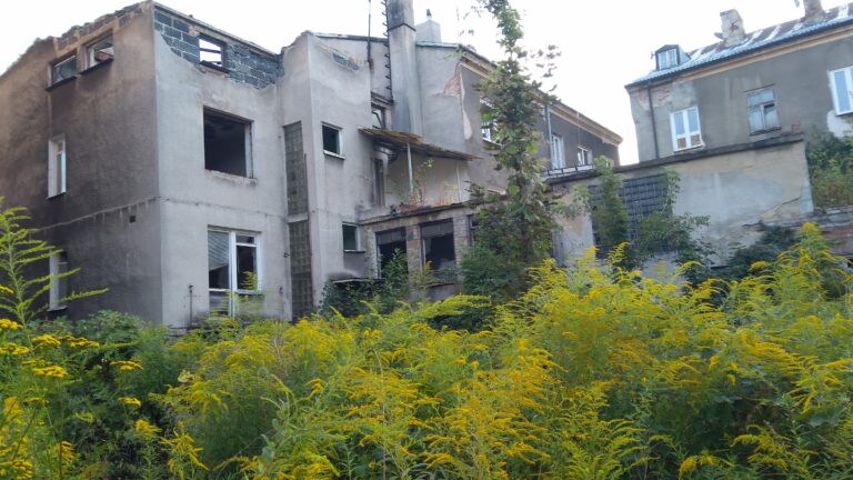 Opuszczona pralnia chemiczna mewa, Siedlce, województwo mazowieckie - zdjęcie 9