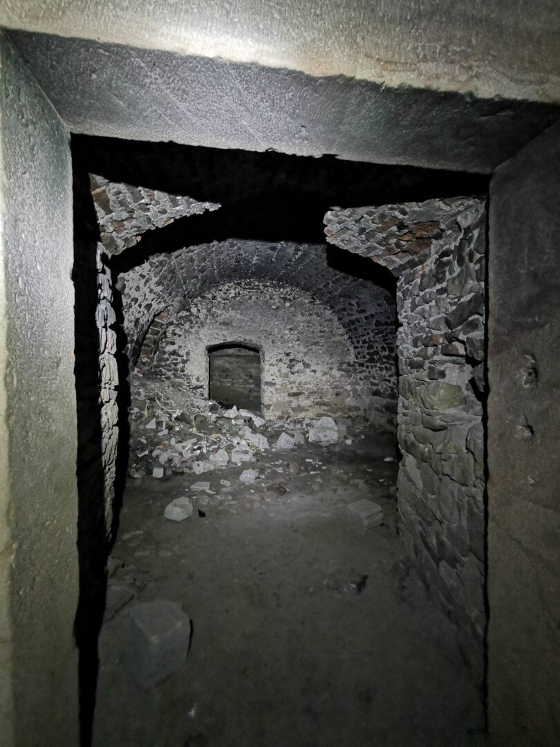 Pałac Tarłów, Podzamcze, świętokrzyskie — zdjęcie 8