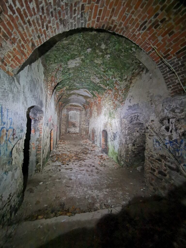 Pałac Tarłów, Podzamcze, województwo świętokrzyskie - relacja z 09.2020, zdjęcie 16