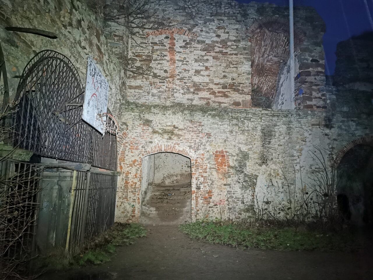 Pałac Tarłów, Podzamcze, świętokrzyskie — zdjęcie 5