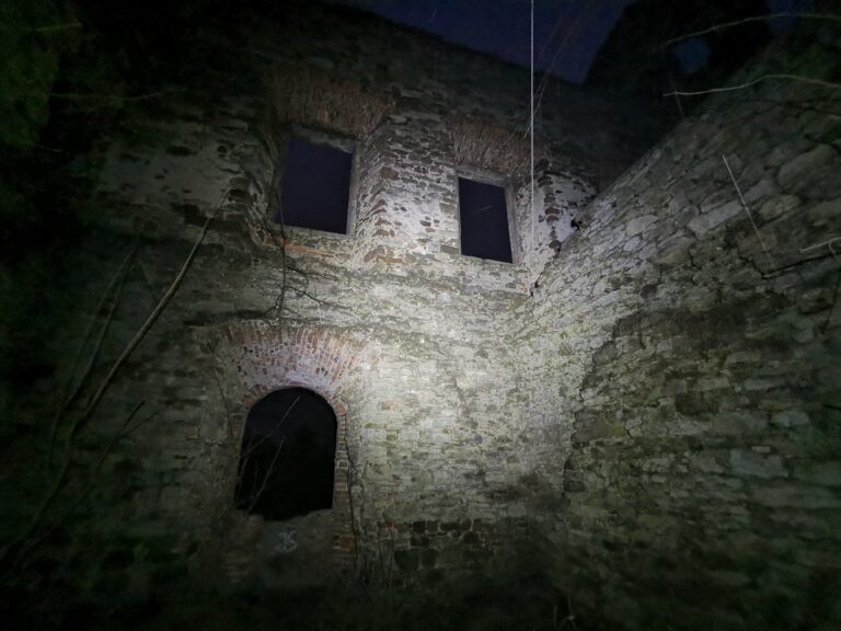 Pałac Tarłów, Podzamcze, województwo świętokrzyskie - relacja z 09.2020, zdjęcie 13
