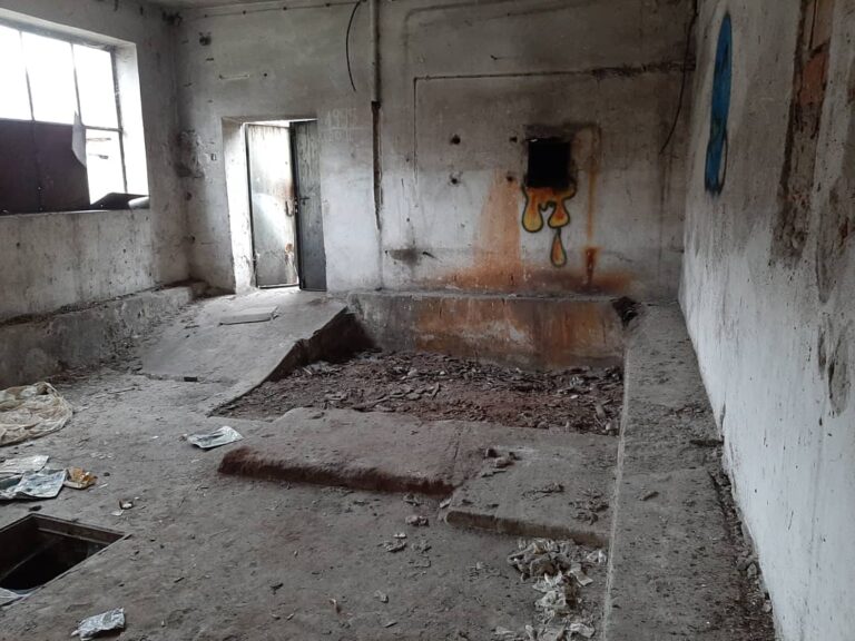 PGR w drzonowie, Drzonów, województwo lubuskie - zdjęcie 2