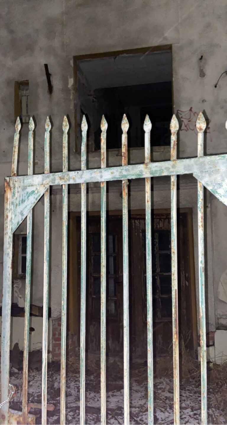 Szpital pulmonologiczny, Blachownia, województwo śląskie - relacja z 01.2021, zdjęcie 8