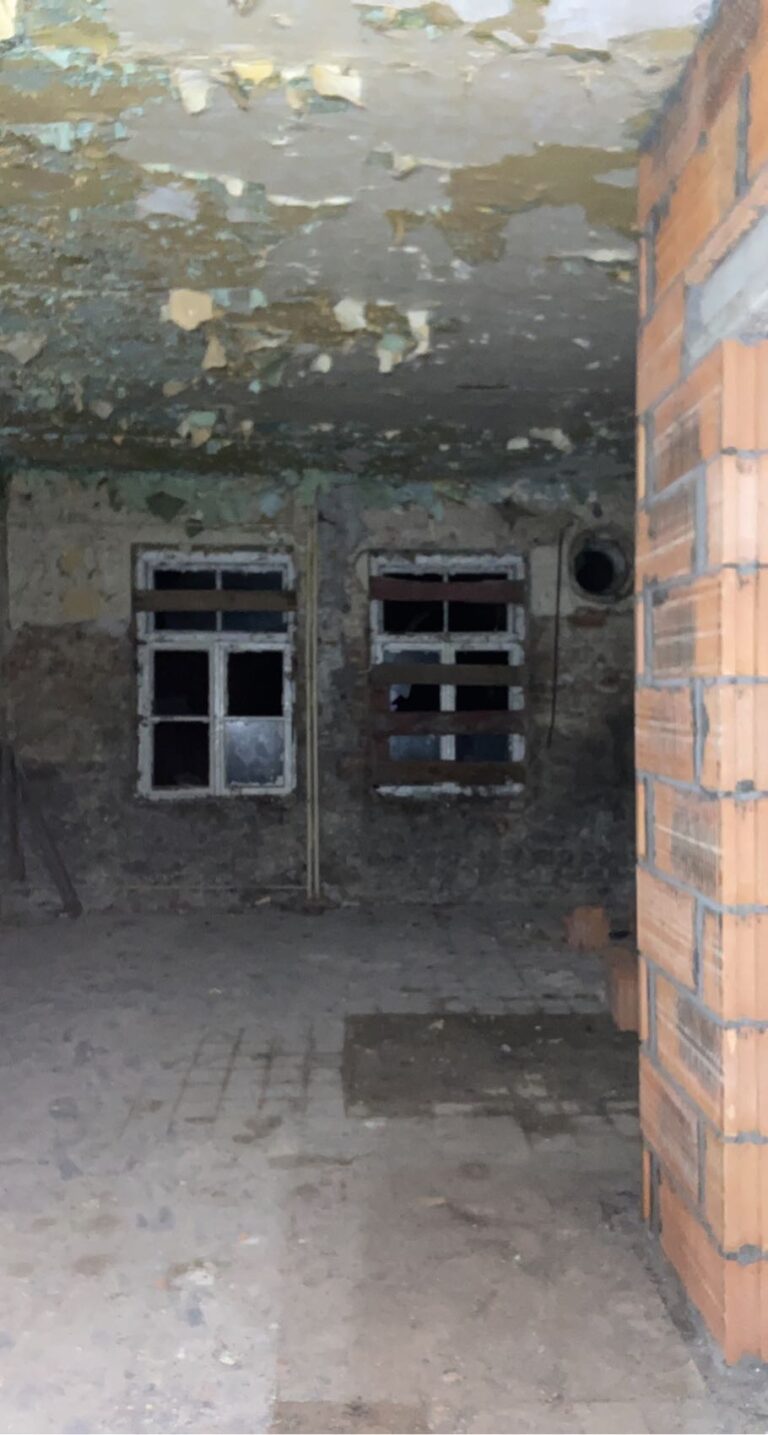 Szpital pulmonologiczny, Blachownia, województwo śląskie - relacja z 01.2021, zdjęcie 9