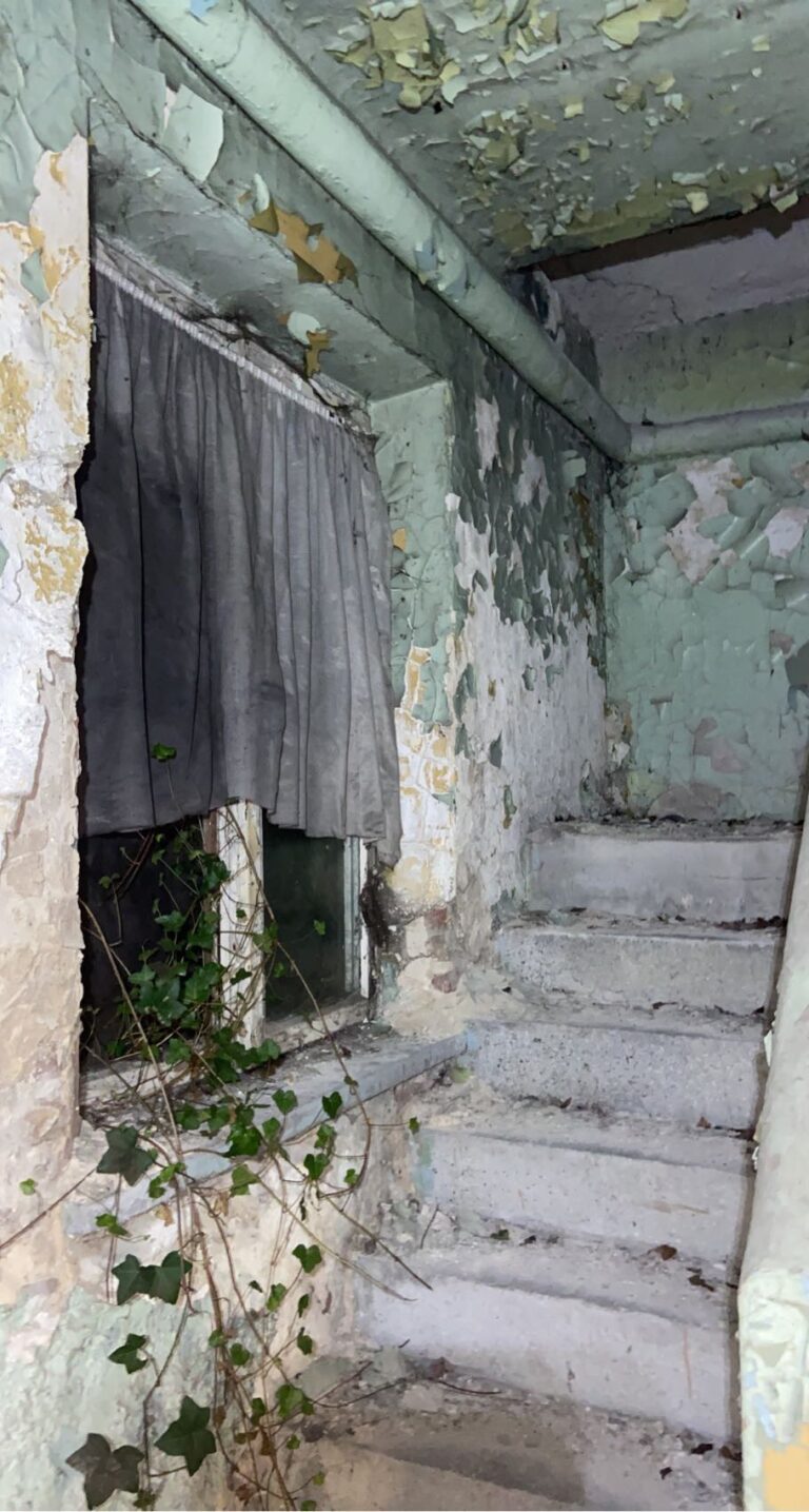 Szpital pulmonologiczny, Blachownia, województwo śląskie - relacja z 01.2021, zdjęcie 5