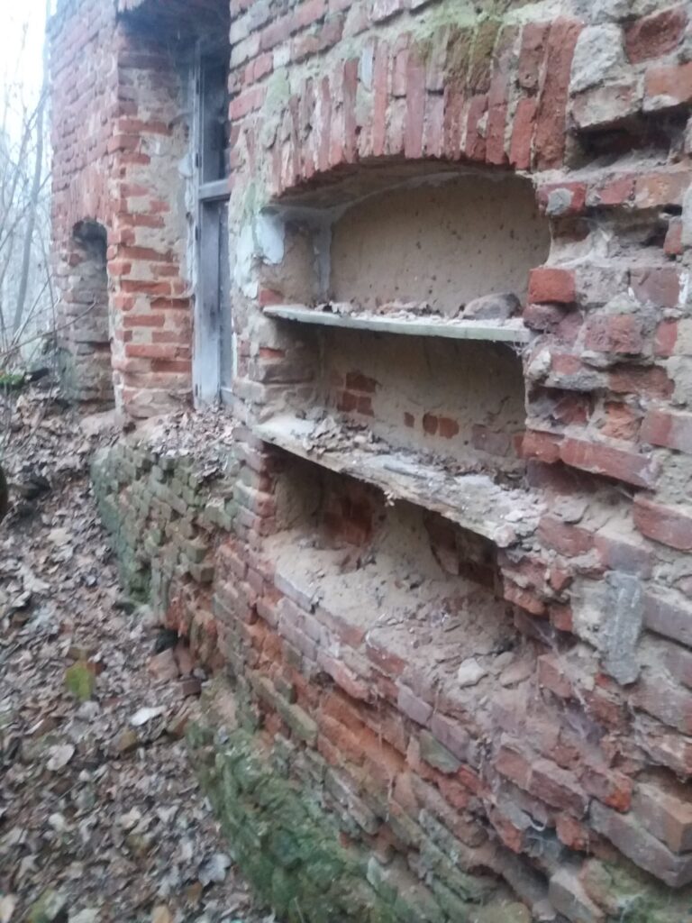Ruiny dworu Kloczkowskiej, Wiączyń Dolny, województwo łódzkie - zdjęcie 3