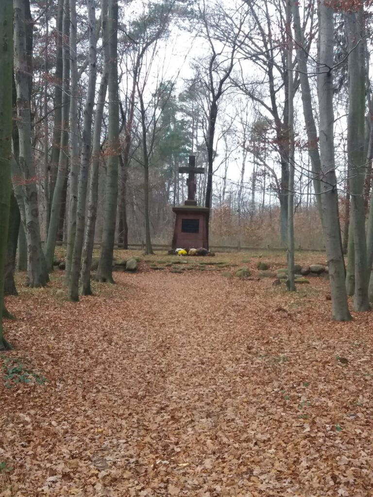 Cmentarz wojenny z czasów I wojny, Wiączyń Dolny, województwo łódzkie - zdjęcie 5