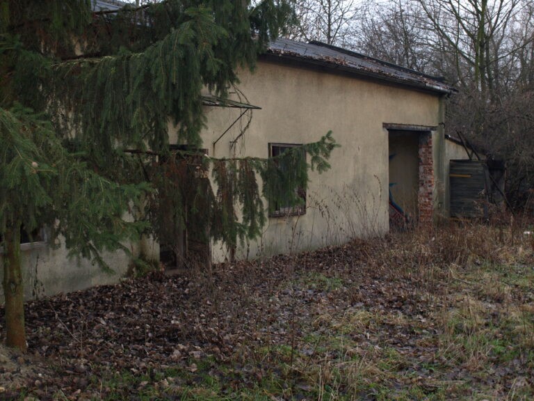 Tor wyścigów konnych, Łódź, województwo łódzkie - relacja z 01.2021, zdjęcie 8