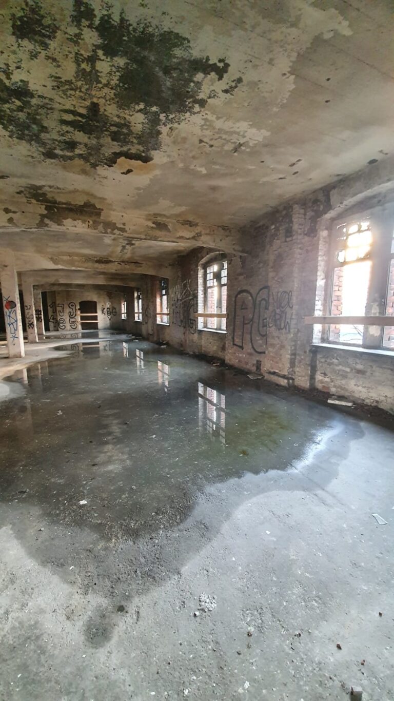 Huta szkła, Gliwice, województwo śląskie - relacja z 01.2021, zdjęcie 27