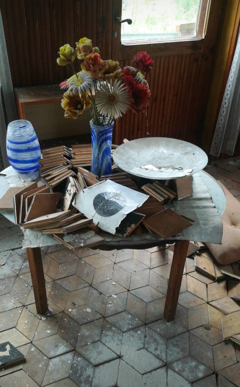 Opuszczony dom Szamana z Wyposażeniem, Święta Katarzyna, województwo świętokrzyskie - zdjęcie 1