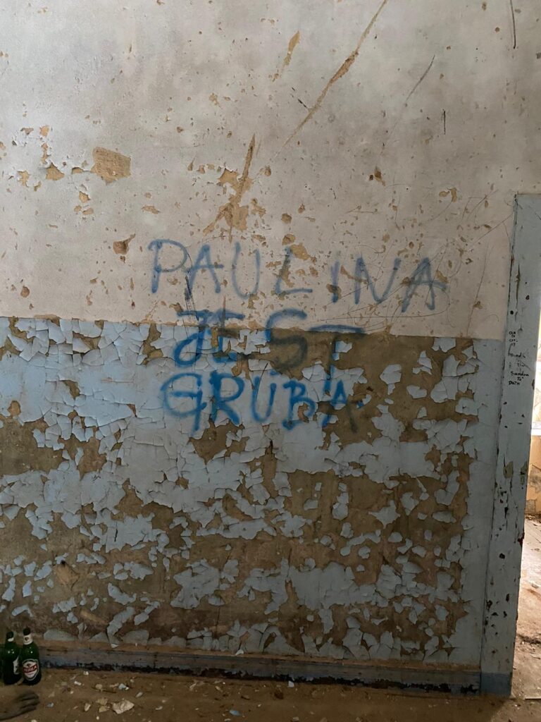 Pałac z XIX w, Siedlec, województwo dolnośląskie - zdjęcie z relacji 7