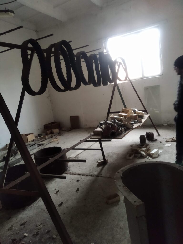 Tuczarnia trzody chlewnej, Mileszewy, województwo kujawsko-pomorskie - relacja z 03.2021, zdjęcie 29