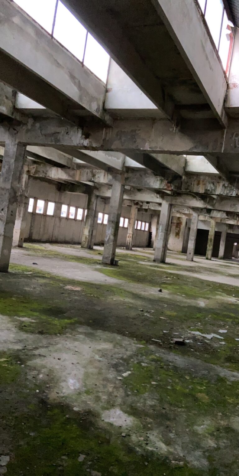 Instytut stomatologii, Łódź, województwo łódzkie - relacja z 03.2021, zdjęcie 13