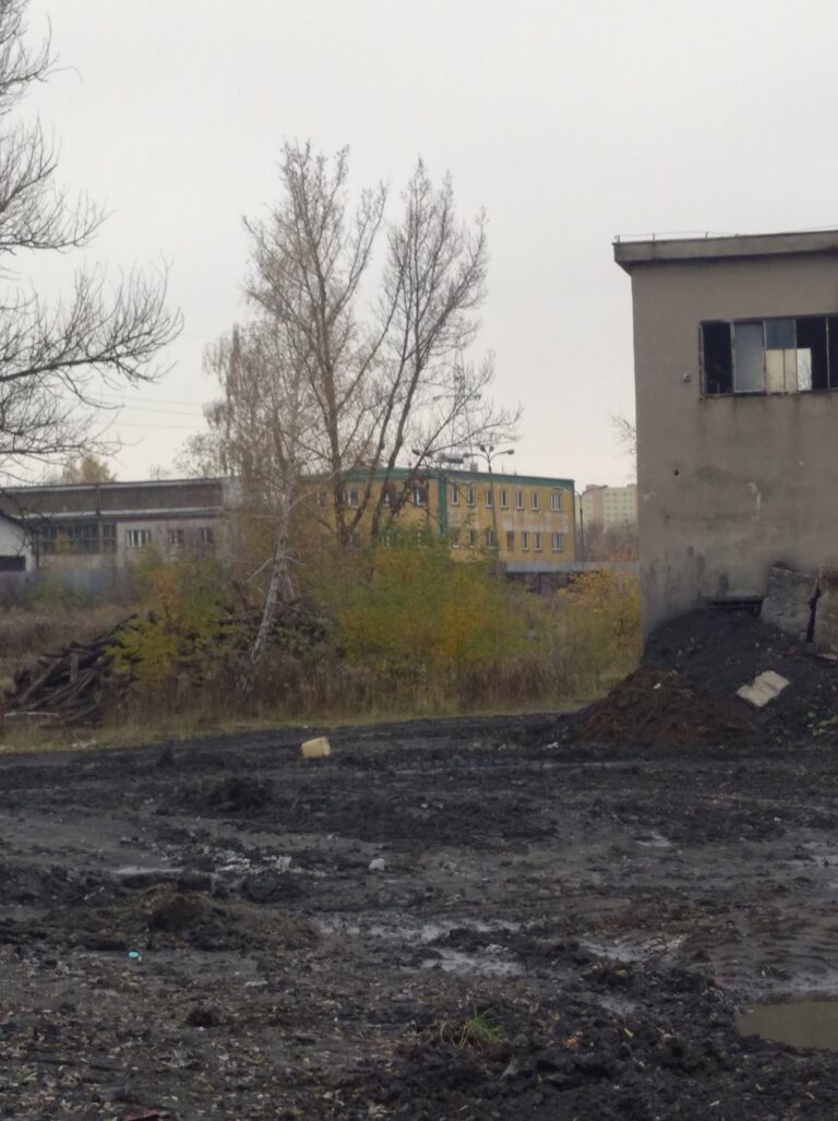 KWK PARYŻ, Dąbrowa Górnicza, województwo śląskie - zdjęcie z relacji 19