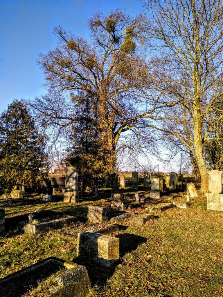 Cmentarz mennonitów (XVIII w.), Stogi, województwo pomorskie - relacja z 02.2021, zdjęcie 7