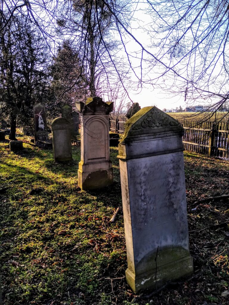 Cmentarz mennonitów (XVIII w.), Stogi, województwo pomorskie - relacja z 02.2021, zdjęcie 6