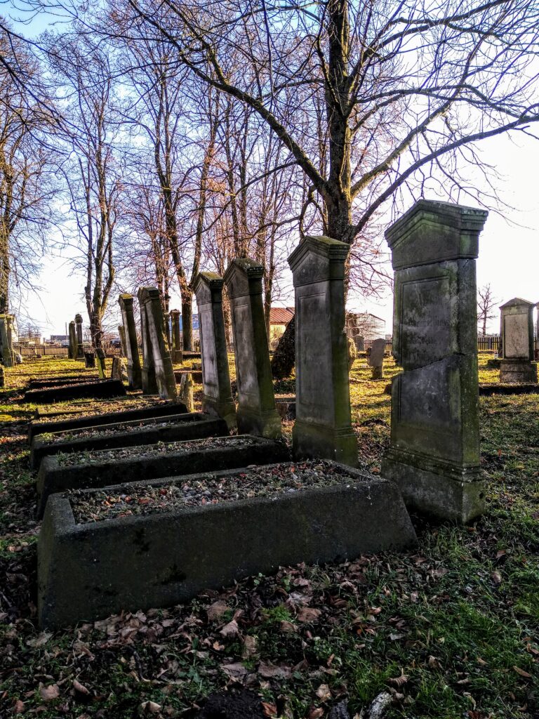 Cmentarz mennonitów (XVIII w.), Stogi, województwo pomorskie - relacja z 02.2021, zdjęcie 3