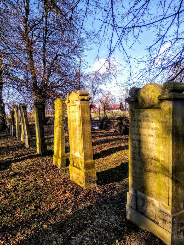 Cmentarz mennonitów (XVIII w.), Stogi, województwo pomorskie - relacja z 02.2021, zdjęcie 2