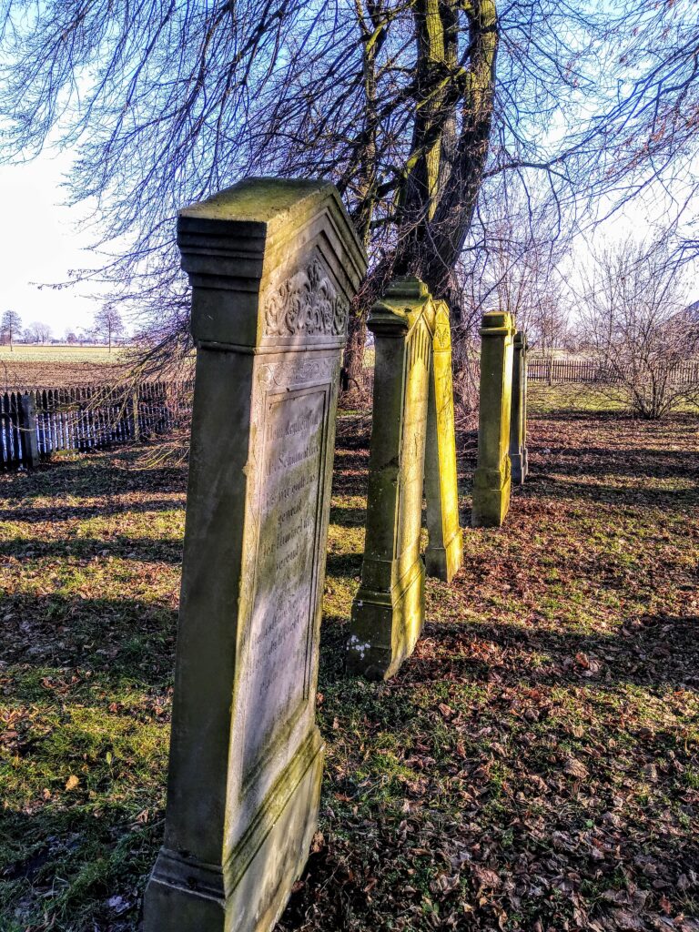 Cmentarz mennonitów (XVIII w.), Stogi, województwo pomorskie - relacja z 02.2021, zdjęcie 1