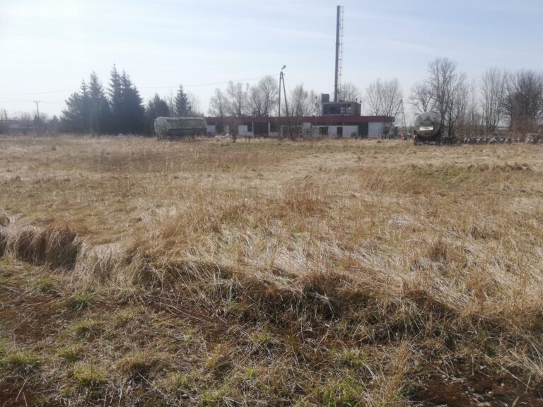 Stara paszarnia, Krośniewice, województwo łódzkie - zdjęcie 1