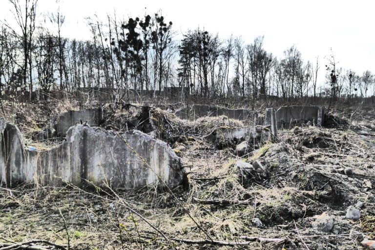 Pozostałości dawnego kompleksu budynków, Gliwice, województwo śląskie - zdjęcie 3