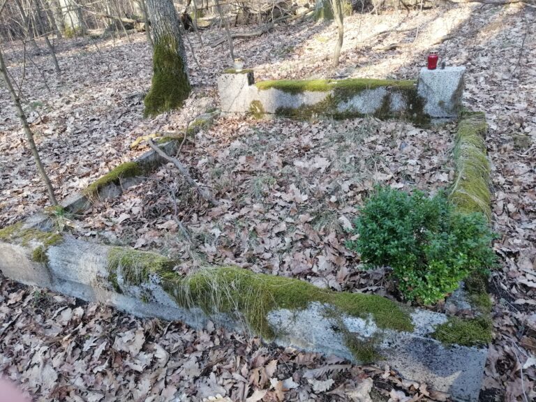 Pozostałości po niemieckim cmentarzu, Tkaczewska Góra, województwo łódzkie - zdjęcie 1