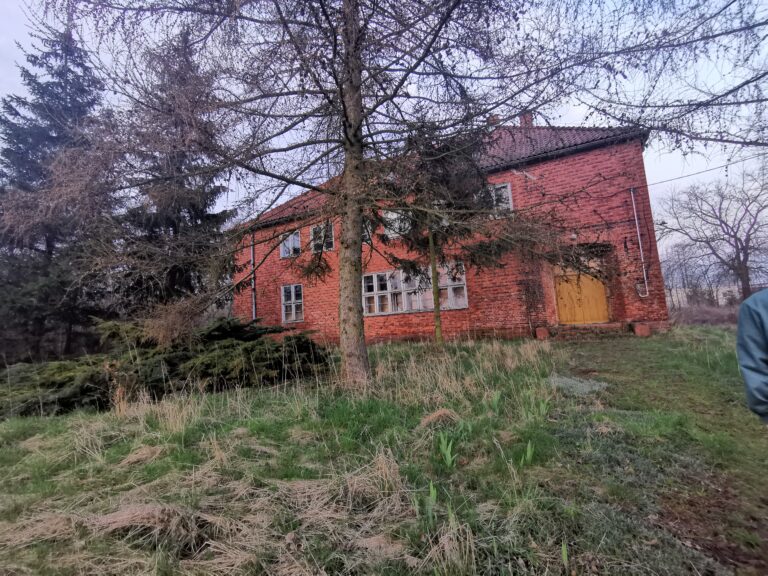 Szkoła podstawowa, Bukowiec, województwo kujawsko-pomorskie - relacja z 04.2021, zdjęcie 38
