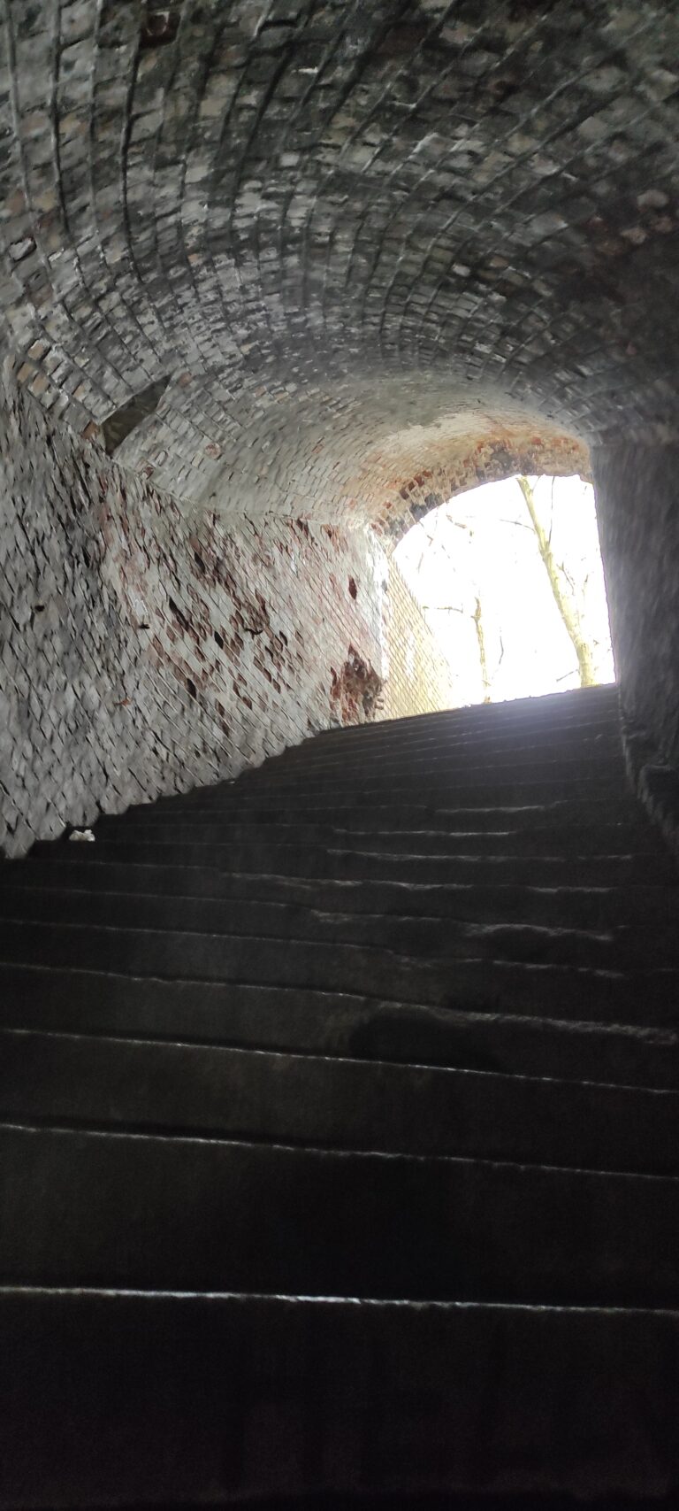 Fort V Waldersee I, Bogucin, województwo wielkopolskie - relacja z 04.2021, zdjęcie 2