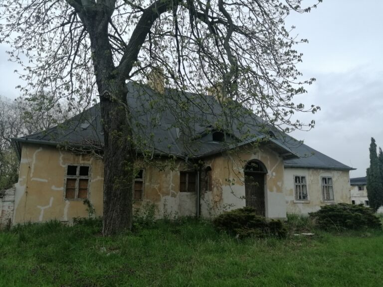 Dwór, Gaj Wielki, województwo wielkopolskie - relacja z 05.2021, zdjęcie 3
