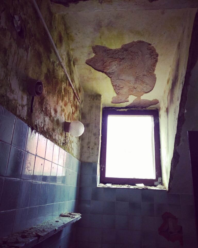 Ośrodek wczasowy dziennikarzy Nest Lubicz, Kudowa-Zdrój, województwo dolnośląskie - zdjęcie z relacji 3