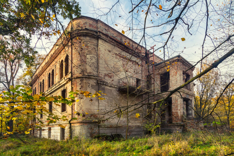 Opuszczony pałac z końca XIX w., Dębno, województwo wielkopolskie - relacja z 11.2020, zdjęcie 1