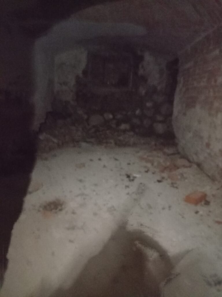 Dwór, Żelki, województwo pomorskie - relacja z 05.2021, zdjęcie 8