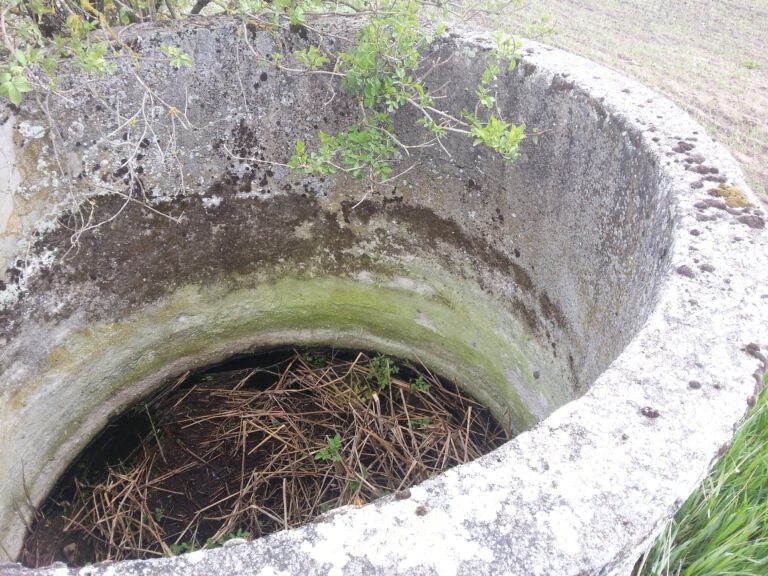 Opuszczone budynki Ożar k/ Barlinka, Nierybno, województwo zachodniopomorskie - relacja z 05.2021, zdjęcie 7
