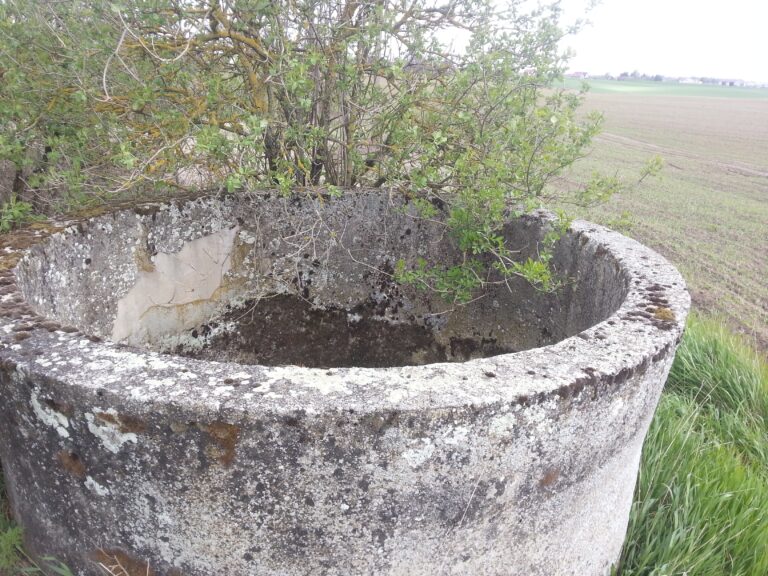 Opuszczone budynki Ożar k/ Barlinka, Nierybno, województwo zachodniopomorskie - relacja z 05.2021, zdjęcie 10