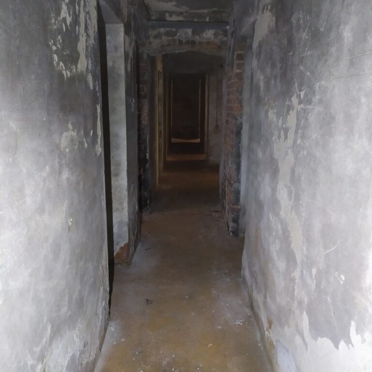 Dwie zrujnowane wille, Warszawa, województwo mazowieckie - zdjęcie 2