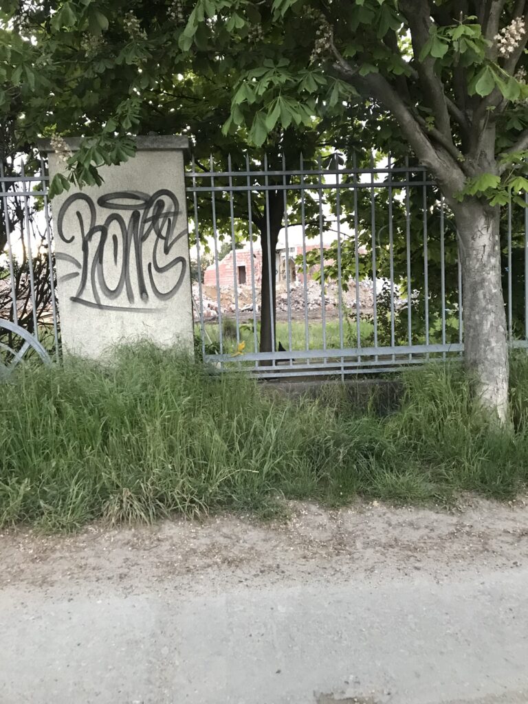 Pałac w Baranowie, Poznań, województwo wielkopolskie - relacja z 05.2021, zdjęcie 9