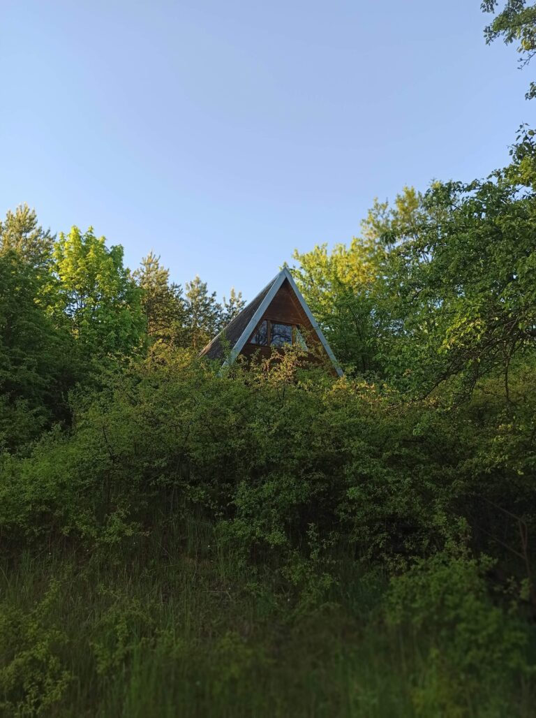 Opuszony domek Baba Jagi, Salno, województwo kujawsko-pomorskie - zdjęcie 1