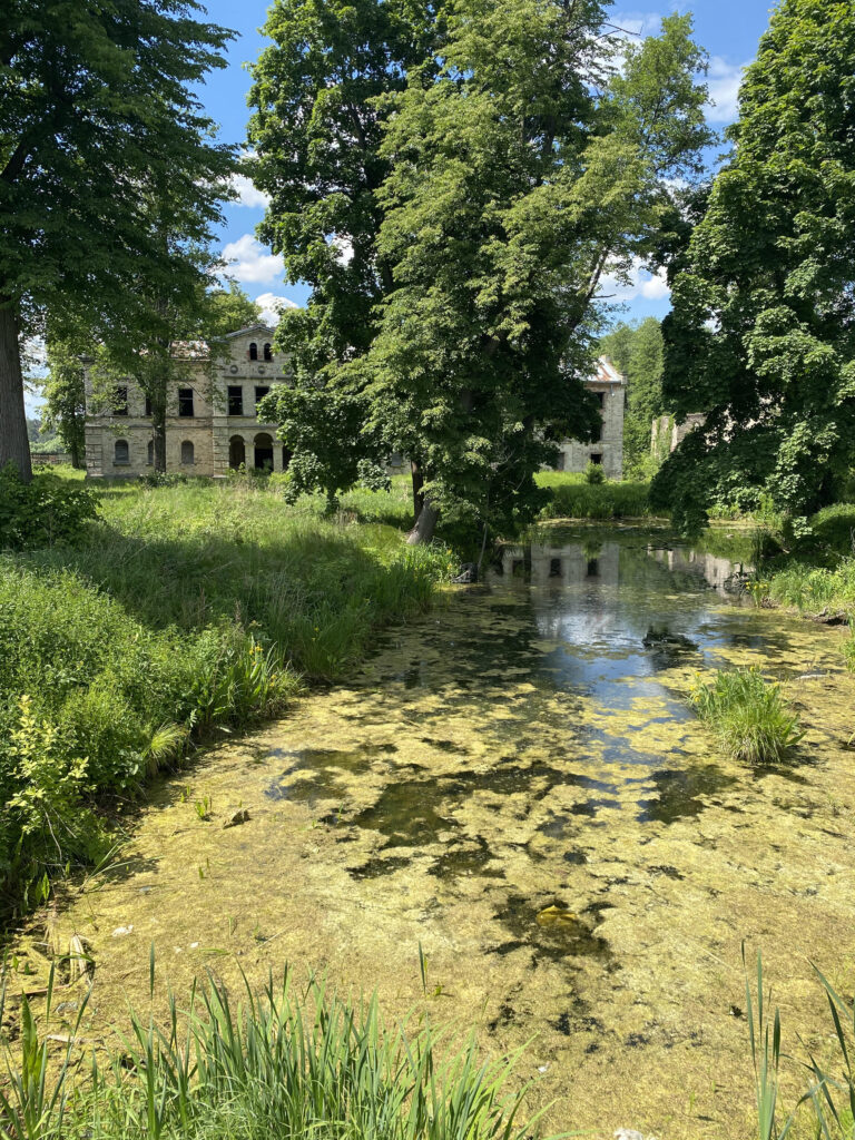 Pałac Schoenbergów, Wąchock, województwo świętokrzyskie - relacja z 06.2021, zdjęcie 14