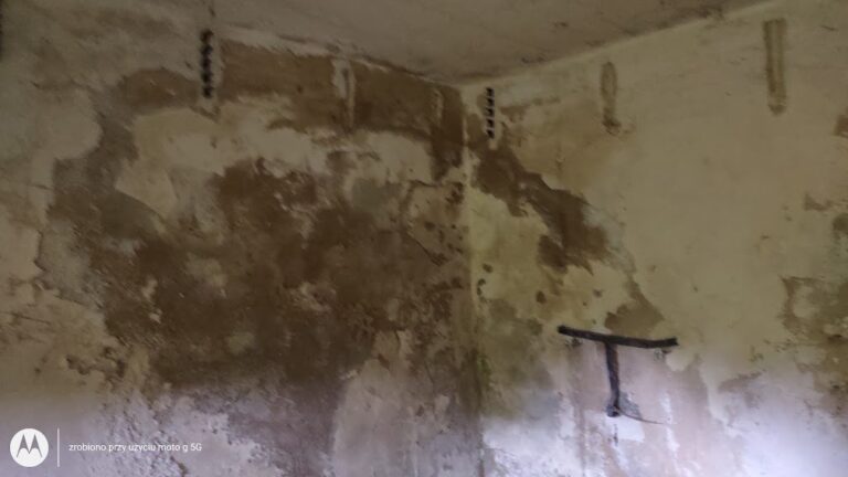 Była strzelnica wojskowa, Prężynka, województwo opolskie - zdjęcie 5