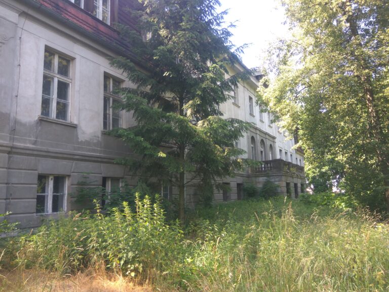 Pałac w Karczewie, Karczewo, województwo wielkopolskie - zdjęcie 1