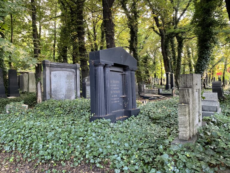 Stary Cmentarz Żydowski, Katowice, województwo śląskie - relacja z 07.2021, zdjęcie 10