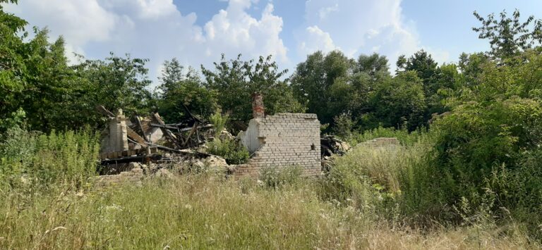 Szkółka Leśna, Kończewice, województwo kujawsko-pomorskie - relacja z 07.2021, zdjęcie 9